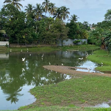 Hotel Comfort Rest Sri Dźajawardanapura Kotte Zewnętrze zdjęcie