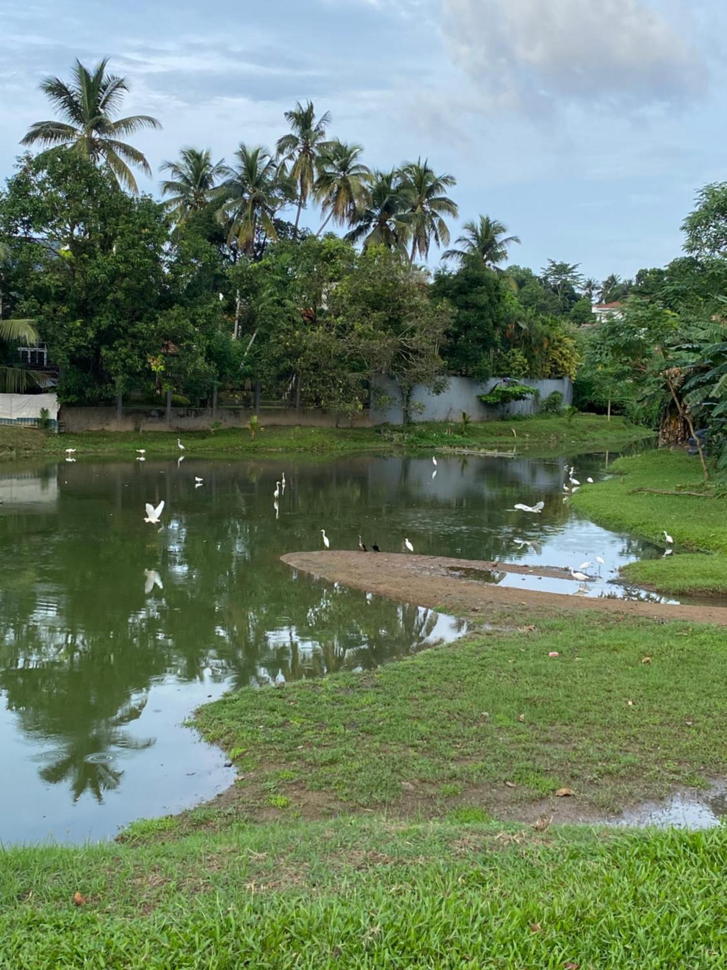 Hotel Comfort Rest Sri Dźajawardanapura Kotte Zewnętrze zdjęcie